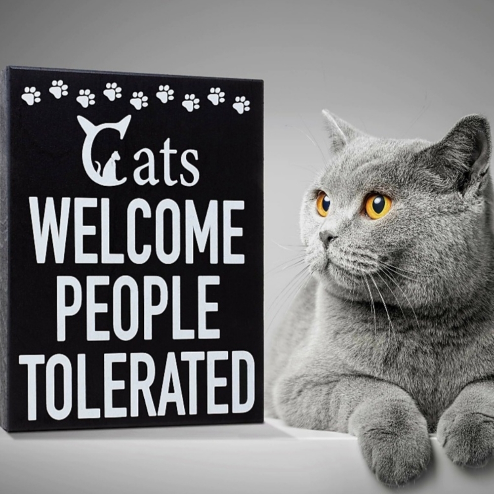 JennyGems Funny Cat Signs